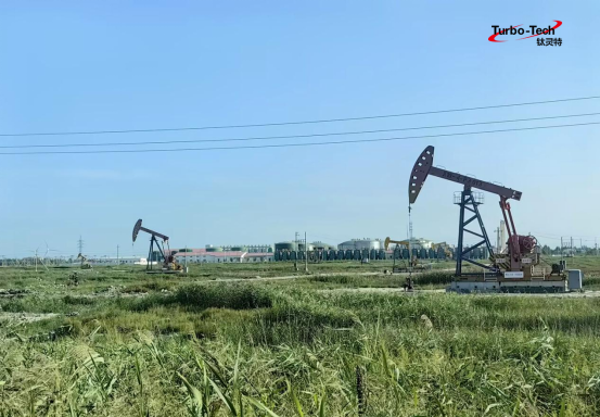 1692924860197985.png image.png